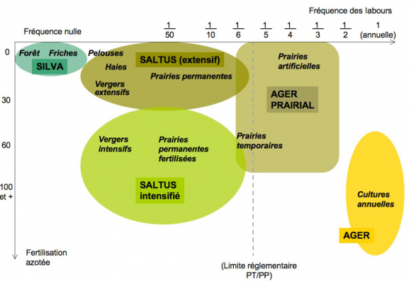 Ager silva saltus