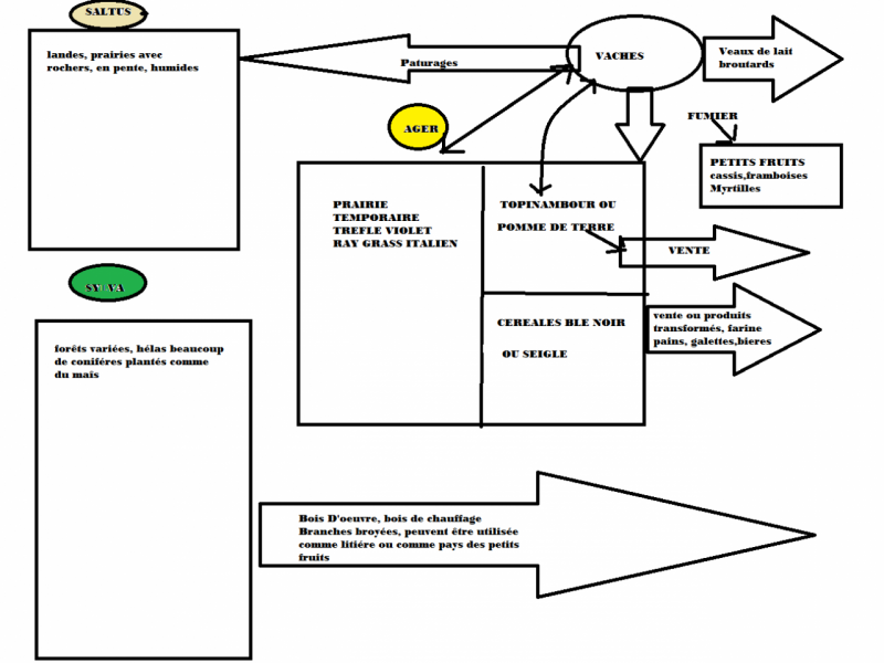 agro-ecosysteme-limousin-2.png