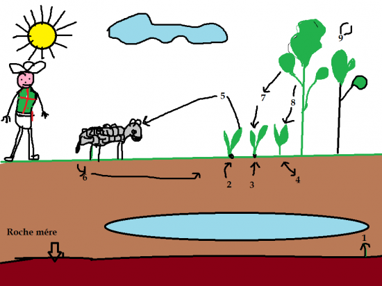 agroecosysteme2.png