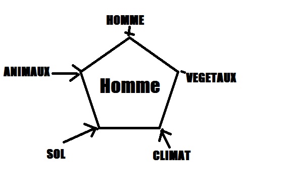 Auto ecologie