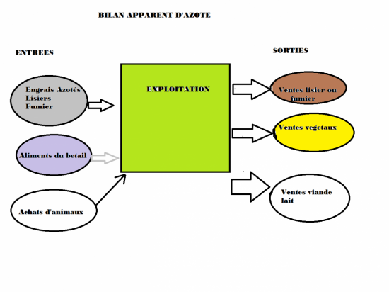 bilan-apparent-d-azote.png