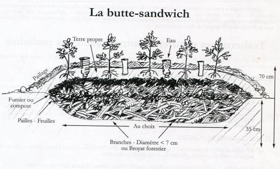 Butte sandwich007 1