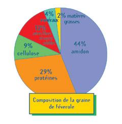 compo-graine-feverole-bl.jpg