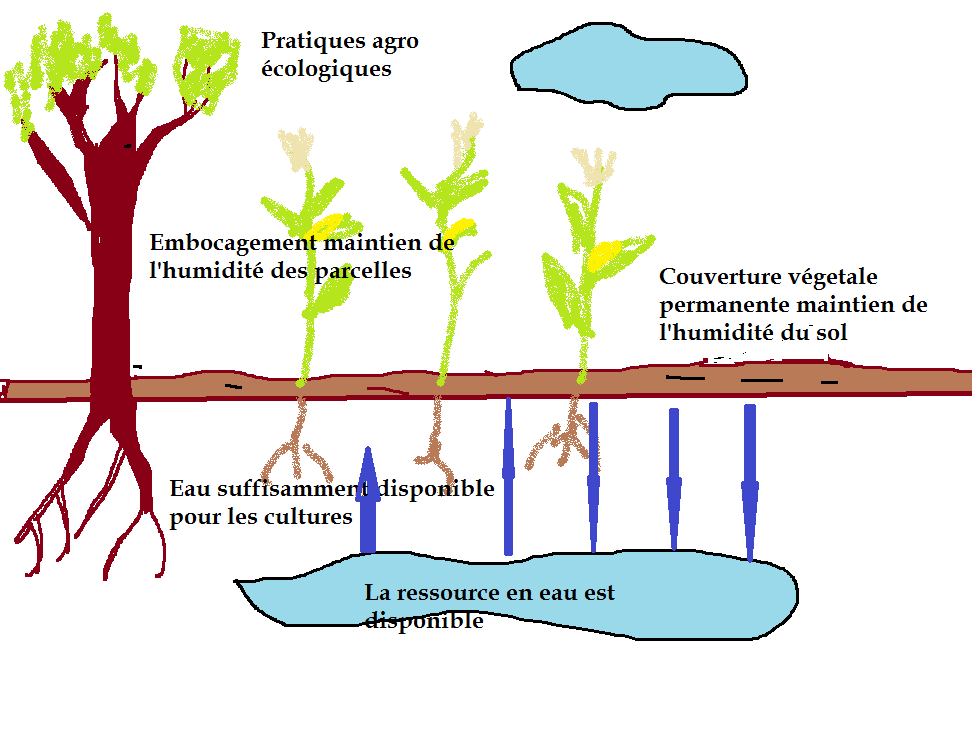 Eau pratiques agroecologiques 1