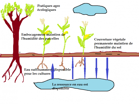 eau-pratiques-agroecologiques.png