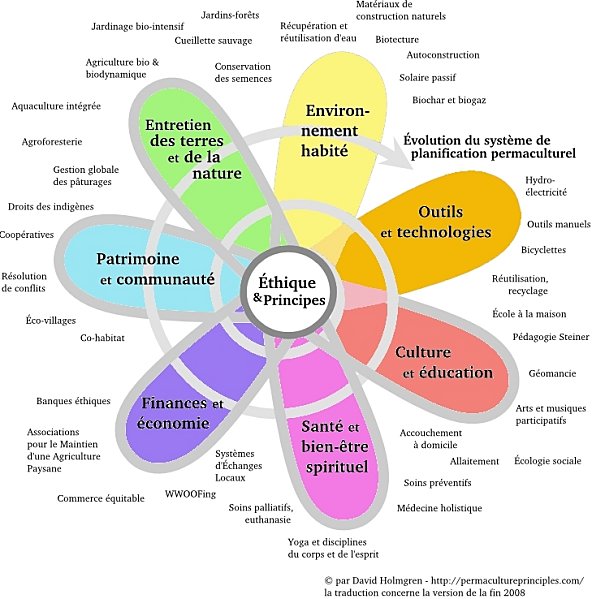 Fleur permaculture complete couleur 1