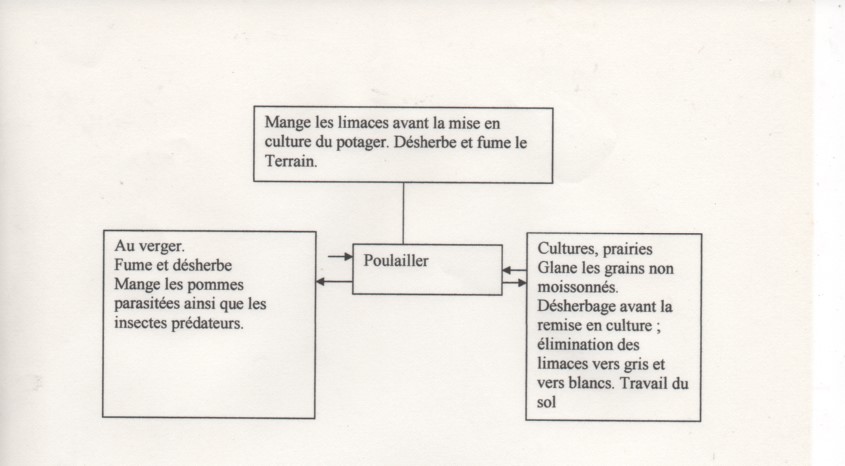 Numerisation 20140526