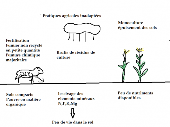 pratiques-agricoles-inadaptees.png