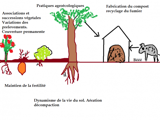 pratiques-agro.png